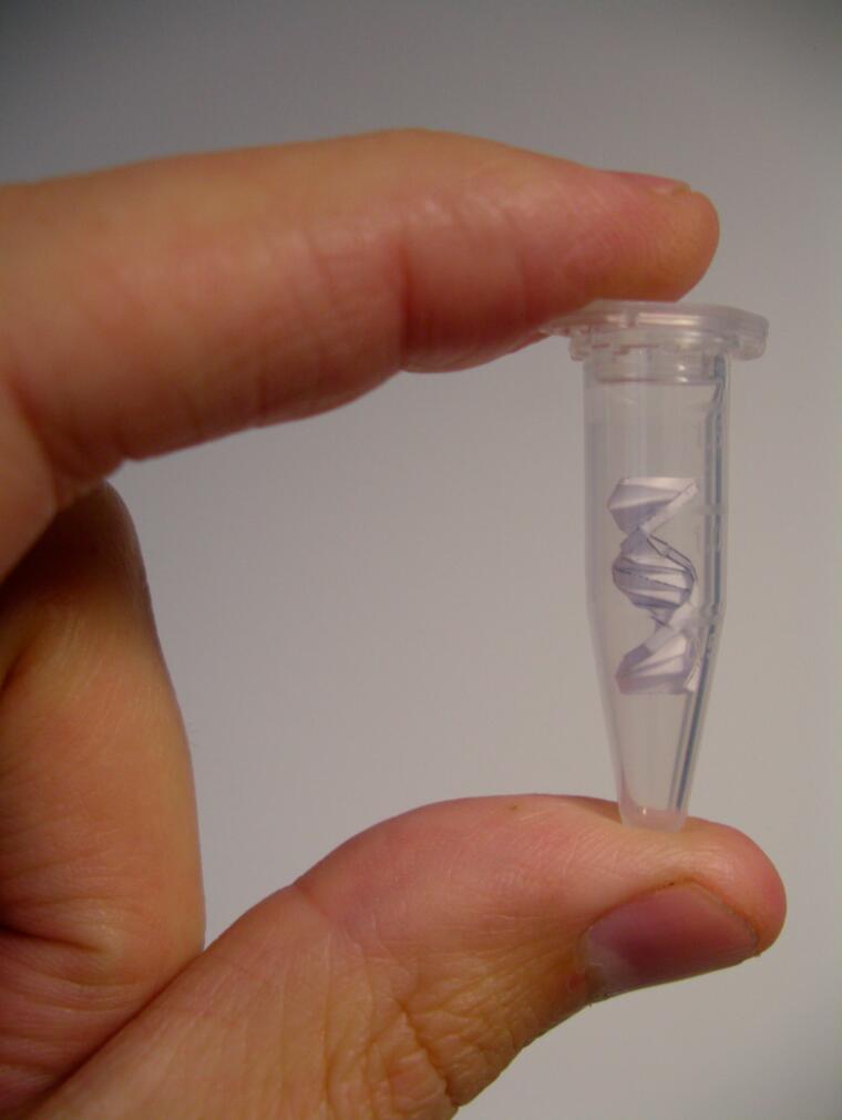 Secret of Life in a test tube