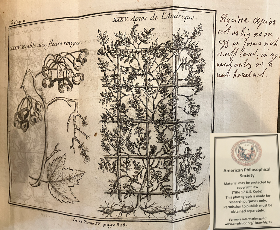 Manuscript notes on a plate in the APS’s copy of Charlevoix’s Histoire et Description de la Nouvelle France IV (Paris, 1744), courtesy of APS