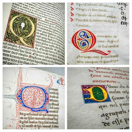 A sampling of illuminated initials A sampling of illuminated initials