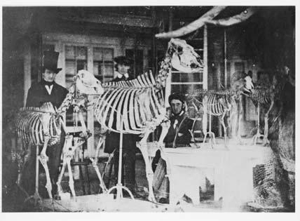 First Photo 1840 First Photo 1840