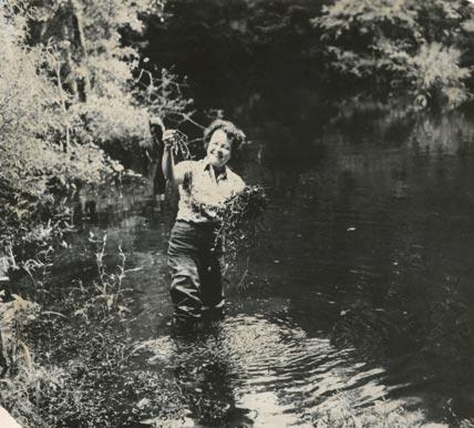 Dr. Ruth Patrick, collecting from a stream
